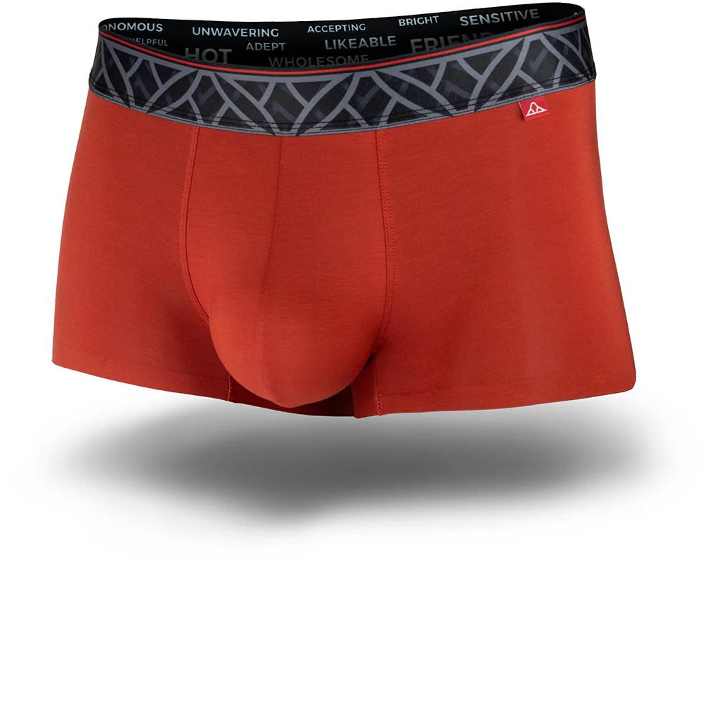 Anti-Gravity Seamless Trunks - Image 5